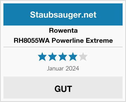 Rowenta RH8055WA Powerline Extreme  Test