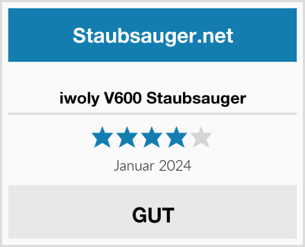  iwoly V600 Staubsauger Test