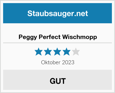  Peggy Perfect Wischmopp Test